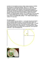 Konspekts 'Zelta griezums', 2.