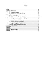 Referāts 'Latviešu leģions - no dibināšanas līdz mūsdienām', 2.