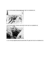 Referāts 'Latviešu leģions - no dibināšanas līdz mūsdienām', 34.