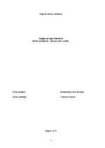 Referāts 'Augļu un ogu konservi', 1.