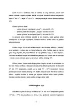 Referāts 'Augļu un ogu konservi', 11.