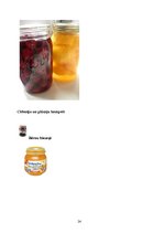 Referāts 'Augļu un ogu konservi', 24.