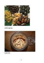 Referāts 'Augļu un ogu konservi', 25.