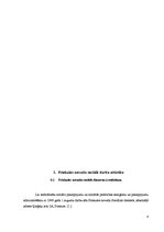 Referāts 'Priekules novada sociālā darba attīstība', 4.