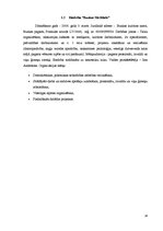 Referāts 'Priekules novada sociālā darba attīstība', 18.