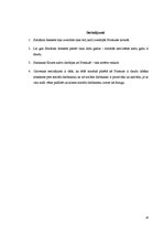 Referāts 'Priekules novada sociālā darba attīstība', 24.