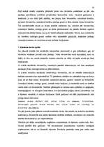 Referāts 'Berücksichtigung von semantischen und lexikalischen Merkmalen bei der Übersetzun', 24.