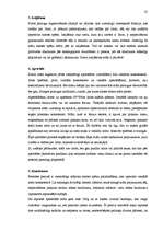 Referāts 'Berücksichtigung von semantischen und lexikalischen Merkmalen bei der Übersetzun', 35.