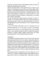 Referāts 'Berücksichtigung von semantischen und lexikalischen Merkmalen bei der Übersetzun', 37.