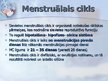 Prezentācija 'Menstruālais cikls', 2.