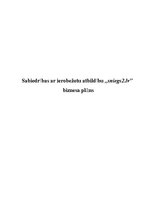 Biznesa plāns 'SIA "sniegs2.lv"', 1.