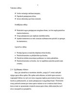 Biznesa plāns 'SIA "sniegs2.lv"', 4.