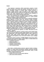 Referāts 'Uzņēmuma stratēģijas izvēle', 1.