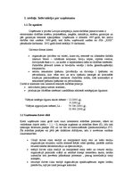 Referāts 'Uzņēmuma stratēģijas izvēle', 3.