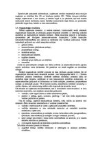 Referāts 'Uzņēmuma stratēģijas izvēle', 5.