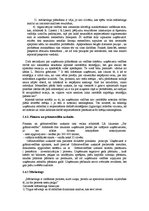 Referāts 'Uzņēmuma stratēģijas izvēle', 7.