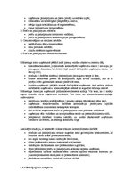 Referāts 'Uzņēmuma stratēģijas izvēle', 8.