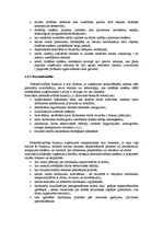 Referāts 'Uzņēmuma stratēģijas izvēle', 11.