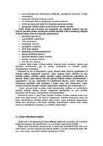 Referāts 'Uzņēmuma stratēģijas izvēle', 16.