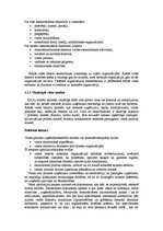 Referāts 'Uzņēmuma stratēģijas izvēle', 17.