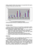 Referāts 'Uzņēmuma stratēģijas izvēle', 19.