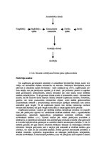 Referāts 'Uzņēmuma stratēģijas izvēle', 21.