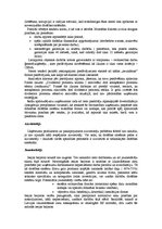 Referāts 'Uzņēmuma stratēģijas izvēle', 22.