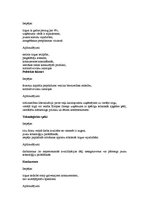 Referāts 'Uzņēmuma stratēģijas izvēle', 26.