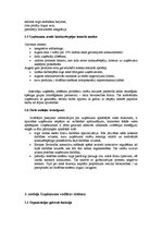 Referāts 'Uzņēmuma stratēģijas izvēle', 27.