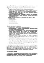 Referāts 'Uzņēmuma stratēģijas izvēle', 29.