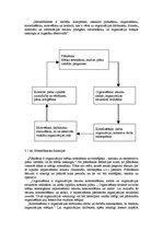 Referāts 'Uzņēmuma stratēģijas izvēle', 30.