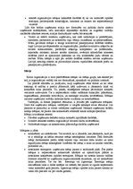 Referāts 'Uzņēmuma stratēģijas izvēle', 32.