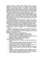 Referāts 'Uzņēmuma stratēģijas izvēle', 41.