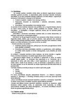 Referāts 'Uzņēmuma stratēģijas izvēle', 42.