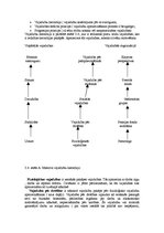 Referāts 'Uzņēmuma stratēģijas izvēle', 43.