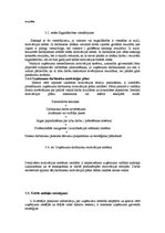 Referāts 'Uzņēmuma stratēģijas izvēle', 47.