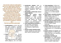 Konspekts 'Praktiski paņēmieni, kā atbrīvoties no stostīšanās', 1.