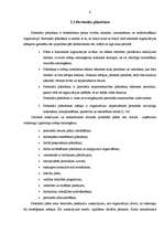 Referāts 'SIA "C1" personāla vadības funkcionālais modelis', 6.