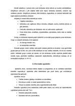 Referāts 'SIA "C1" personāla vadības funkcionālais modelis', 11.