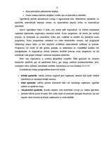 Referāts 'SIA "C1" personāla vadības funkcionālais modelis', 13.