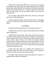 Referāts 'SIA "C1" personāla vadības funkcionālais modelis', 25.