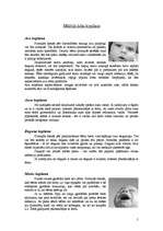 Referāts 'Bērnu kosmētika', 5.