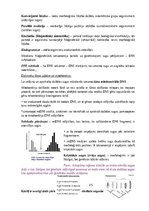 Konspekts 'Dzīvnieku valsts sistēma', 2.
