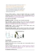 Konspekts 'Dzīvnieku valsts sistēma', 6.