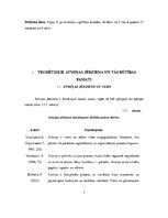 Diplomdarbs 'Didaktiskās rotaļas 5-6 gadus vecu bērnu atmiņas attīstībā', 7.