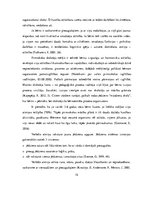 Diplomdarbs 'Didaktiskās rotaļas 5-6 gadus vecu bērnu atmiņas attīstībā', 15.