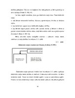 Diplomdarbs 'Didaktiskās rotaļas 5-6 gadus vecu bērnu atmiņas attīstībā', 19.