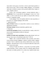 Diplomdarbs 'Didaktiskās rotaļas 5-6 gadus vecu bērnu atmiņas attīstībā', 28.