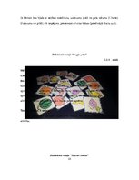 Diplomdarbs 'Didaktiskās rotaļas 5-6 gadus vecu bērnu atmiņas attīstībā', 33.