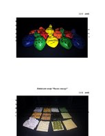 Diplomdarbs 'Didaktiskās rotaļas 5-6 gadus vecu bērnu atmiņas attīstībā', 34.